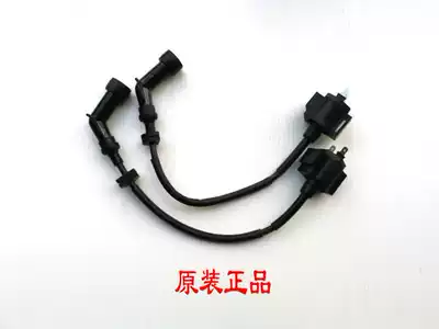 Earth Eagle King DD350 twin cylinder small Ninja ignition coil Yongyuan war Falcon 350 modified locomotive High Voltage package