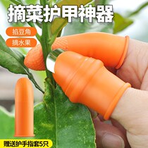 Vegetable picking thumb knife picking Pepper artifact picking bean iron nail picking vegetable picking artifact agricultural strawberry finger cover