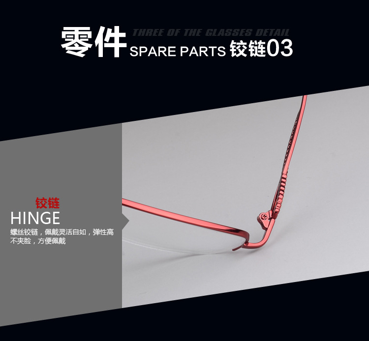 Montures de lunettes en Alliage de nickel - Ref 3139814 Image 13