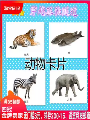 Autism autism ABA teaching practice cards Animal cards Children's rehabilitation training teaching aids