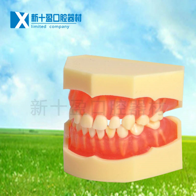 Dental Oral Teaching Model Standard Dairy tooth-free tooth model 20 children pluctable soft tooth gums