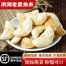 SF Honghu fresh water chestnut rice flour with glutinous fragrance is now picked shelled and vacuumed Hubei specialty large water chestnut rice 3 catties