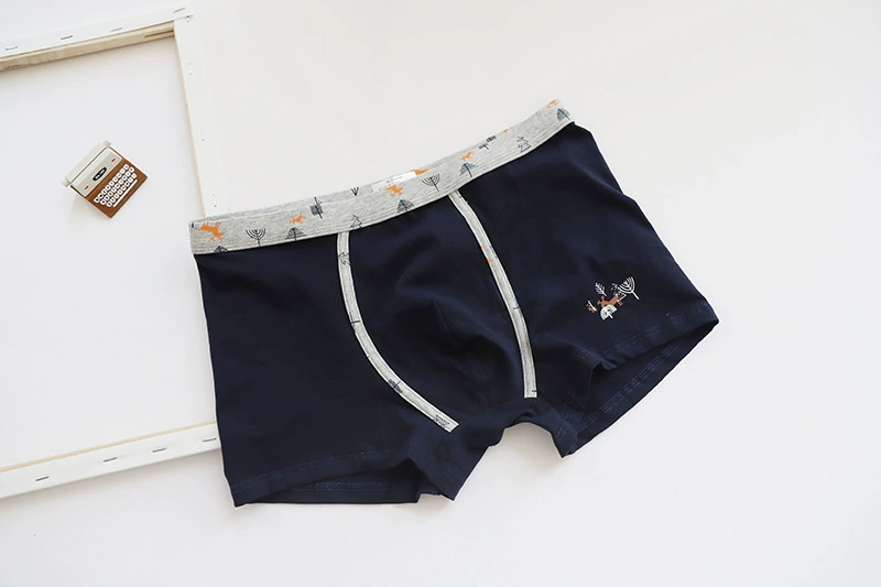 Thời trang cotton đồ lót nam Fawn AB phiên bản của quần boxer nam triều và phong cách cotton Hồng Kông mùa thu đông mới - Cặp đôi