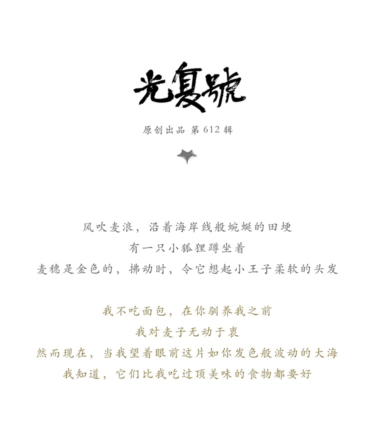 Bague mixte en Argenterie - Ref 3089104 Image 9