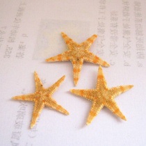  1 yuan 2 2-3cm natural little starfish mobile phone diy decorations crafts production raw materials