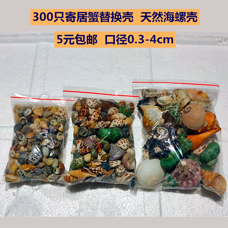 300 only 0 3-4cm Host Crab Replacement Shell Natural Marine Snail Fish Tank Conditioning Water Quality Hardness Ph Nitrobacteria Bean Din-Taobao