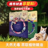 Чокер, колокольчик, кот, котенок, домашний питомец