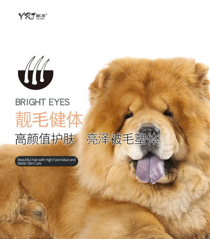 Chow Chow thức ăn đặc biệt cho chó 10 kg chó con trưởng thành chó nhỏ và vừa 5kg phổ biến vẻ đẹp lông canxi hạt tự nhiên - Chó Staples