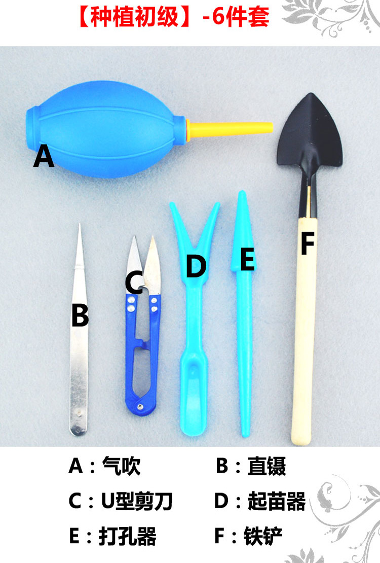 Công cụ trồng mọng nước kết hợp đặt hoa mini làm vườn cung cấp thịt chậu công cụ thịt bầu ươm v6