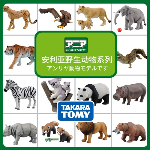 Takara tomy, модель животного, учебные пособия для мальчиков и девочек, игрушка, лев, слон, панда, тигр