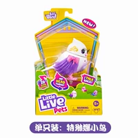 Телина маленькая птичка