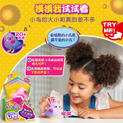 LittleLivePets любит петь птиц с птицами с птицами, речь