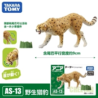 [Дикий гепард] Подвижная шея и хвост 139607