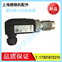 Hocorde probe flame UVS10D1G1 UVS10D1G1 UVS10D0G1 UVS10D4G1 UVS10D4G1 UVS10D2