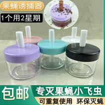 Fruit fly trap special drug attractant attractant nemesis small flying insect killing artifact fruit trash can kitchen