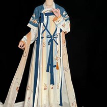 Ancient Han - dress female ( ASIA ) original half - arm and chest dress embroidered in summer Chinese wind suit