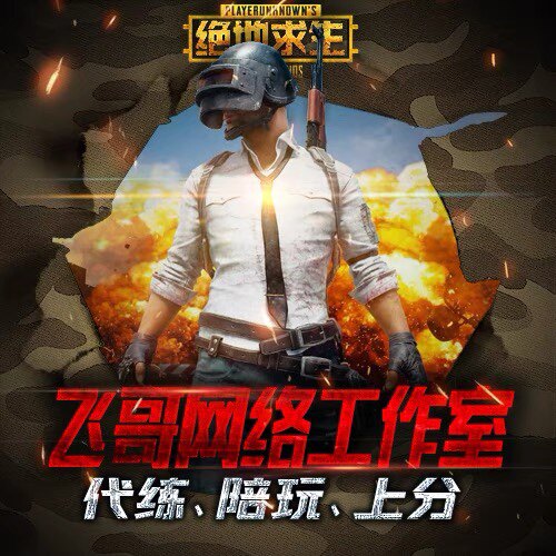 飞哥网络工作室的LOGO
