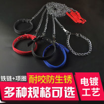 Small dog dog chain medium-sized dog walking dog rope iron dog traction rope dog rope Dog Rope Item Ring Dog Collar Dog Supplies