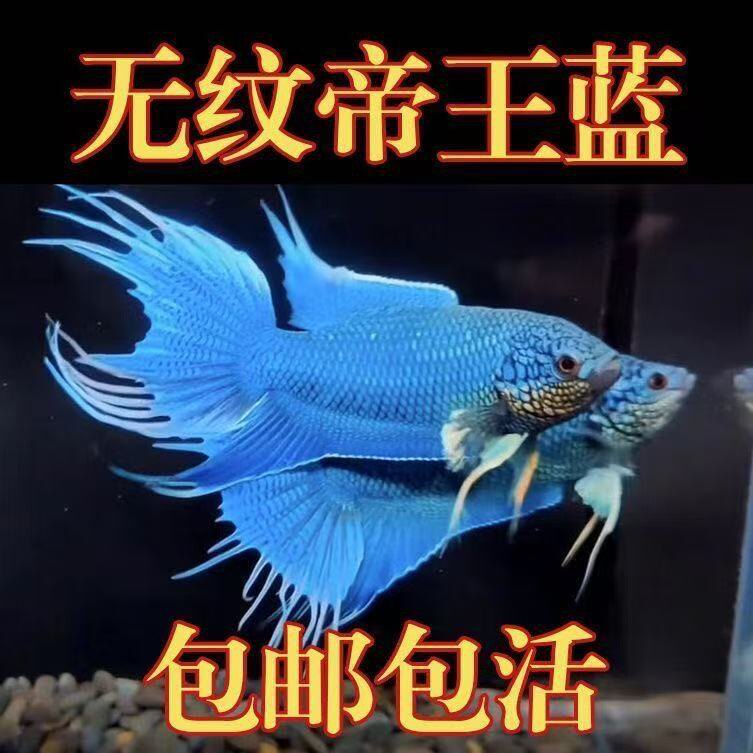 水富贵鱼场的LOGO