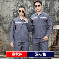 Пружина и осенний толстый тип C (темно -серая полоса против света)