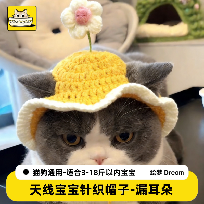 Шапка для кошки, вязаный головной убор для собаки, открытые уши, специальные аксессуары для головных уборов для домашних животных, забавные и милые осенние и зимние