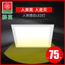 Sakura integrated ceiling LED flat panel light Kitchen bathroom Human body intelligent sensor light Aluminum button plate light Embedded