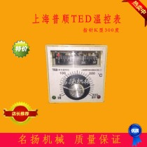 Oven electric cake pan dryer temperature control instrument K Type 300 degrees Shanghai Pushun TED