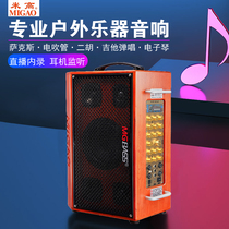 Michael sound t5 guitar speaker two Husax Electric tube musical accompaniment wooden street singing outdoors