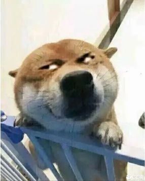 趣美妝