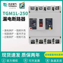 Sky positive electrical earth leakage protector TGM1L-250L 3N300A 250A200A 250A200A shell breaker