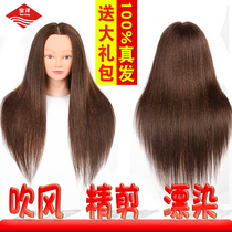 Hairdressing head model real hair practice head doll head hairdresser hair cut head model full true and false head model head can be rolled hot blow