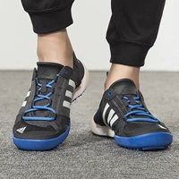 S77946/2019 Новая модель