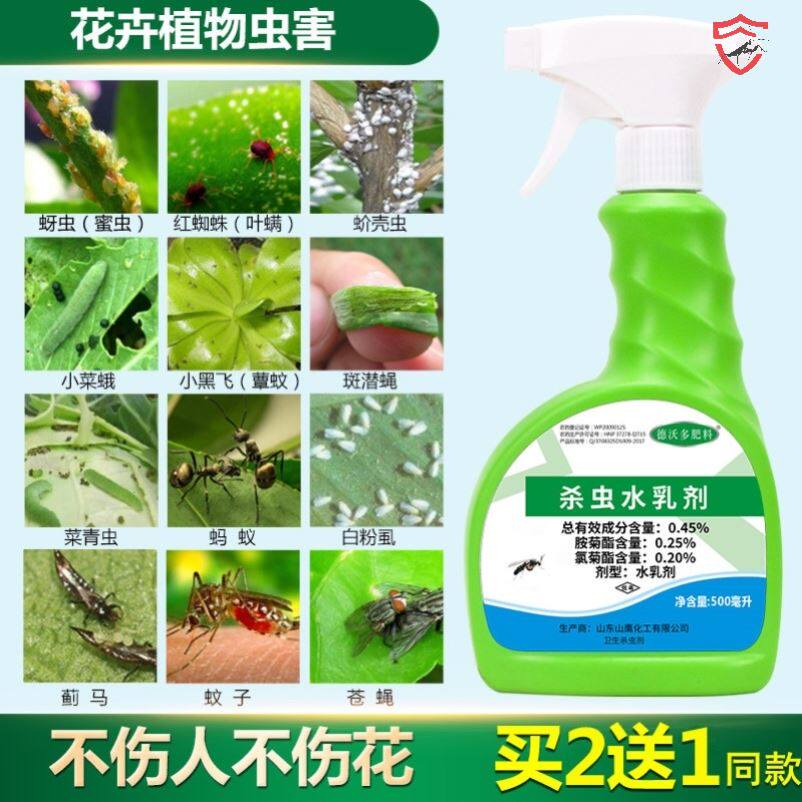 Flower medicine Drosophila lemon tree golden kudzu fleshy insecticide small white insect green plant insecticide home indoor potting