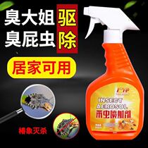 Smelly Faggot Special Medicine Smelly Big Brother-in-law Insecticide Household Indoor Exorcke for Farting Insect Gram starfish Toon Elephant Potion