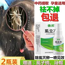 Lice medicine children home to dispel little girls hair The long lion sweeps the flea adults with the removal of the