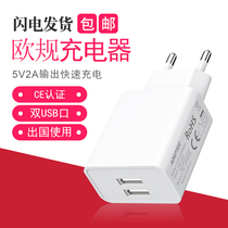 European standard global travel plug power converter Venice Italy Switzerland travel usb mobile phone charger