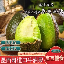 Mexican imported avocado fresh fruit natural ripe ready-to-eat avocado baby food supplement for pregnant women and young children in a box of 10