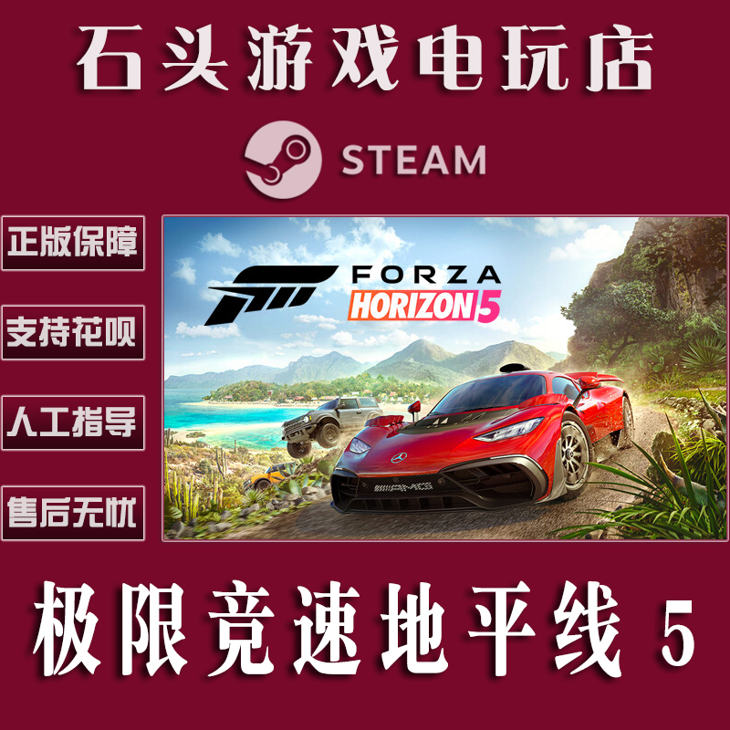 Pc Chinese Version Steam Platform China Region Forza Horizon 5