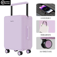 SF Express Delivery-Yanxia Zi