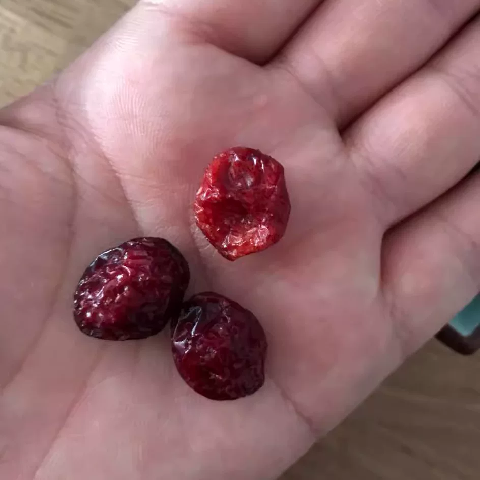 Wanggou Top Products Spanish Purchase Agency Dried Cranberries Red Dried Tomatoes Rich in Vitamins and Tasty