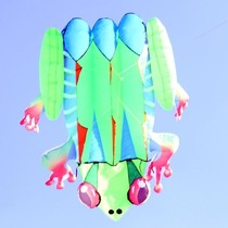 Zhengfeng New and Strange Original Patented Kite Frog Tree Frog Soft Kite Nylon Umbrella Cloth Skeleton-less