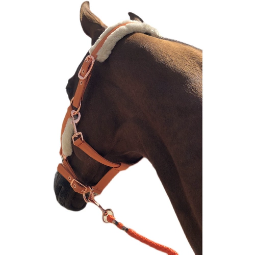 Марма Лошади Шляпы Лошадь шесть лет -Малайзия Малайзия Европейская память