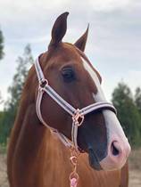 European horse head RIDENOW brand horse head horse head horse harness horse harness equestrian supplies horse lead horse