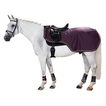 Export German equestrian exercise horse clothing stretch fabric composite rushed equestrian suit anti-splashing water and rice husks