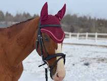 European Brands Horse Ear Hood Horse Hood Horse Accessories Horse With Crochet Hook Head Accessories