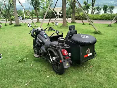 Dedicated to Ai Fanhe 250 Satchel Side Three Wheel Side Three Wheels Locomotive Car Cover Car Cover