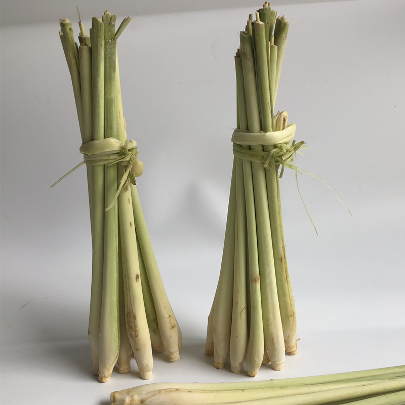 Fresh and herbal 500g special production of Thai winter Yung Lemon grass Hong Kong Vietnam Cuisine Soup ingredients
