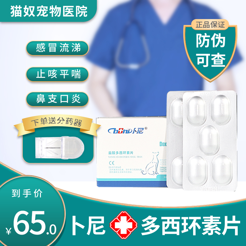 Cats and dogs, cold medicine, cat nasal branch treatment, quick medicine, Noo anti-inflammatory, bnydoxycycline tablets, cat nose, dog, cat nest cough medicine