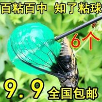 Sticky cicada pole cicada pole retractable cicada catching pole sticky cicada pole cicada catching tool cicada catching artifact