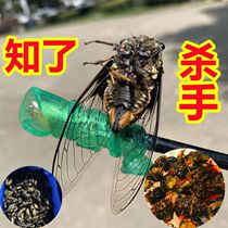 Sticky Cicada Artifact Summer Outdoor Cicada Catch Pole Retractable Sticky Cicada Ball Catch Cicada Monkey Palm Sticky Ball Small Hand